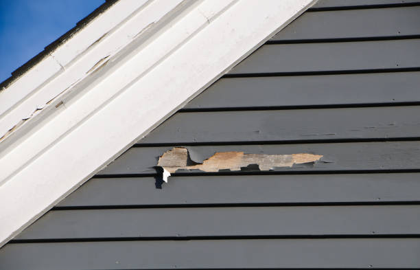 Siding Removal and Disposal in Berwyn, IL